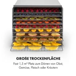 Fruit Jerky Steel 10 Dörrautomat 10 Etagen 1000 W Fläche: 1,5 M² Timer -Einrichtungsgeschäft 10028437 de 0006 logo