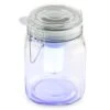 Wetterfrosch LED-Stimmungslicht Gelb/blau Einweckglas Solar Akku -Einrichtungsgeschäft 10030097 yy 0001 titel oneConcept Wetterfrosch Solarlicht LED Glas