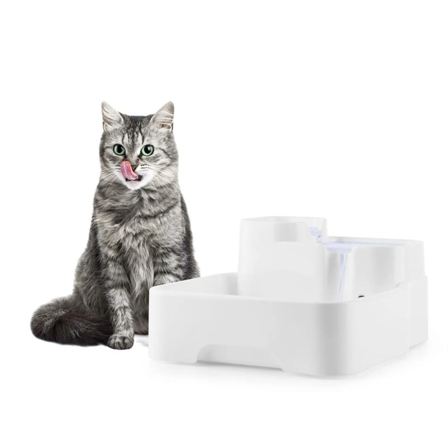 Lake Lassie Haustiertränke Tierbrunnen 4L Pumpe Aktivkohlefilter 5 Lake Lassie Haustiertränke Tierbrunnen 4L Pumpe Aktivkohlefilter – Bild 3