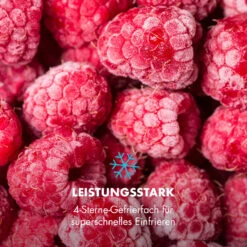 Garfield Eco Mini-Gefrierschrank 4-Sterne 34 Liter Kompakt -Einrichtungsgeschäft 10032853 de 0006 logo