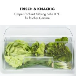 Big Daddy Cool Kühl-Gefrierkombination 61/25 Liter 2 Ebenen Edelstahl -Einrichtungsgeschäft 10034005 de 0005 logo