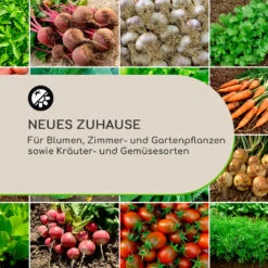 Winegrow Pflanzgefäß 52,5 X 31,5 Cm (ØxH) Leicht Fibreclay Grau 12 Winegrow Pflanzgefäß 52,5 X 31,5 Cm (ØxH) Leicht Fibreclay Grau -Einrichtungsgeschäft 10034811 de 0003 logo