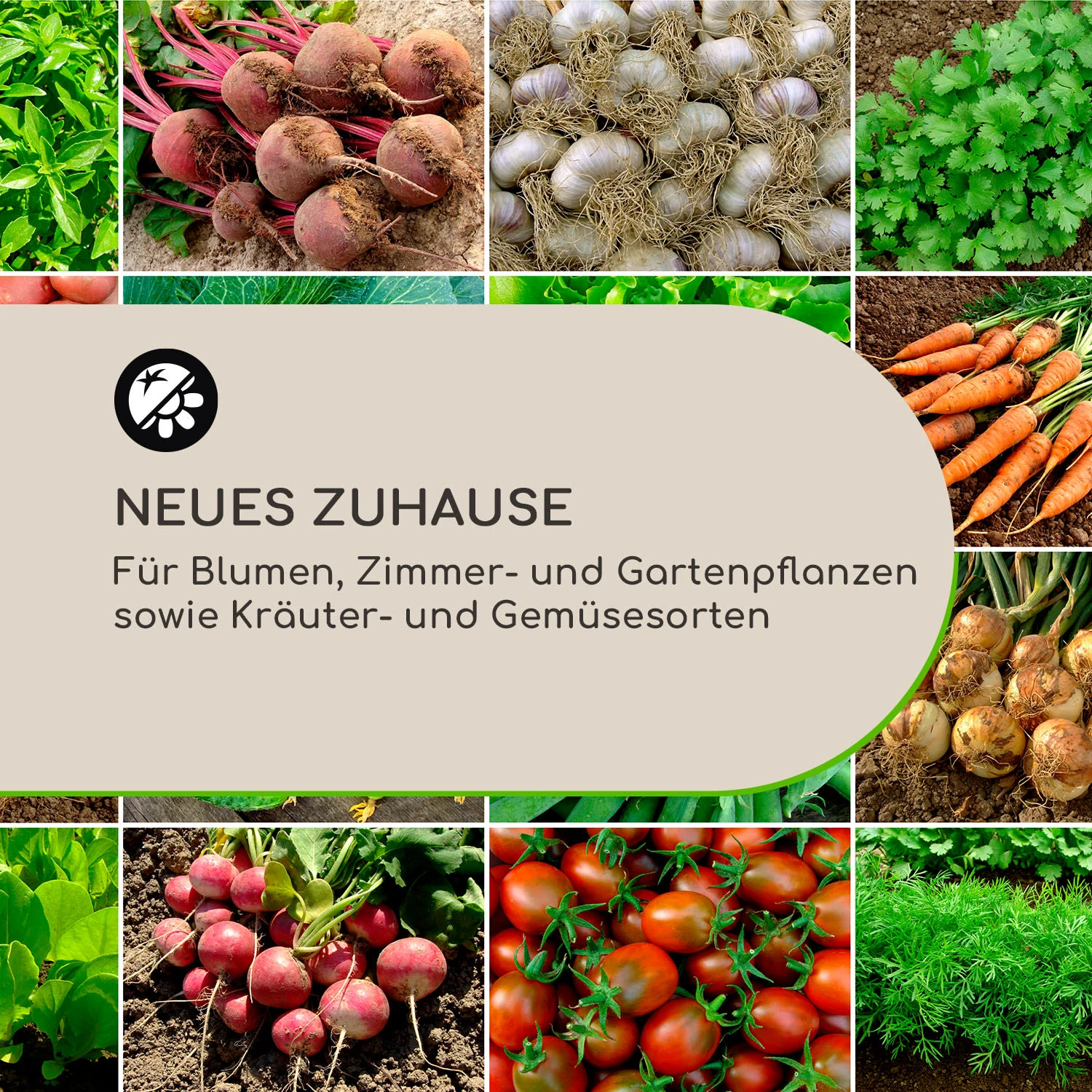 Winegrow Pflanzgefäß 52,5 X 31,5 Cm (ØxH) Leicht Fibreclay Grau 5 Winegrow Pflanzgefäß 52,5 X 31,5 Cm (ØxH) Leicht Fibreclay Grau – Bild 3