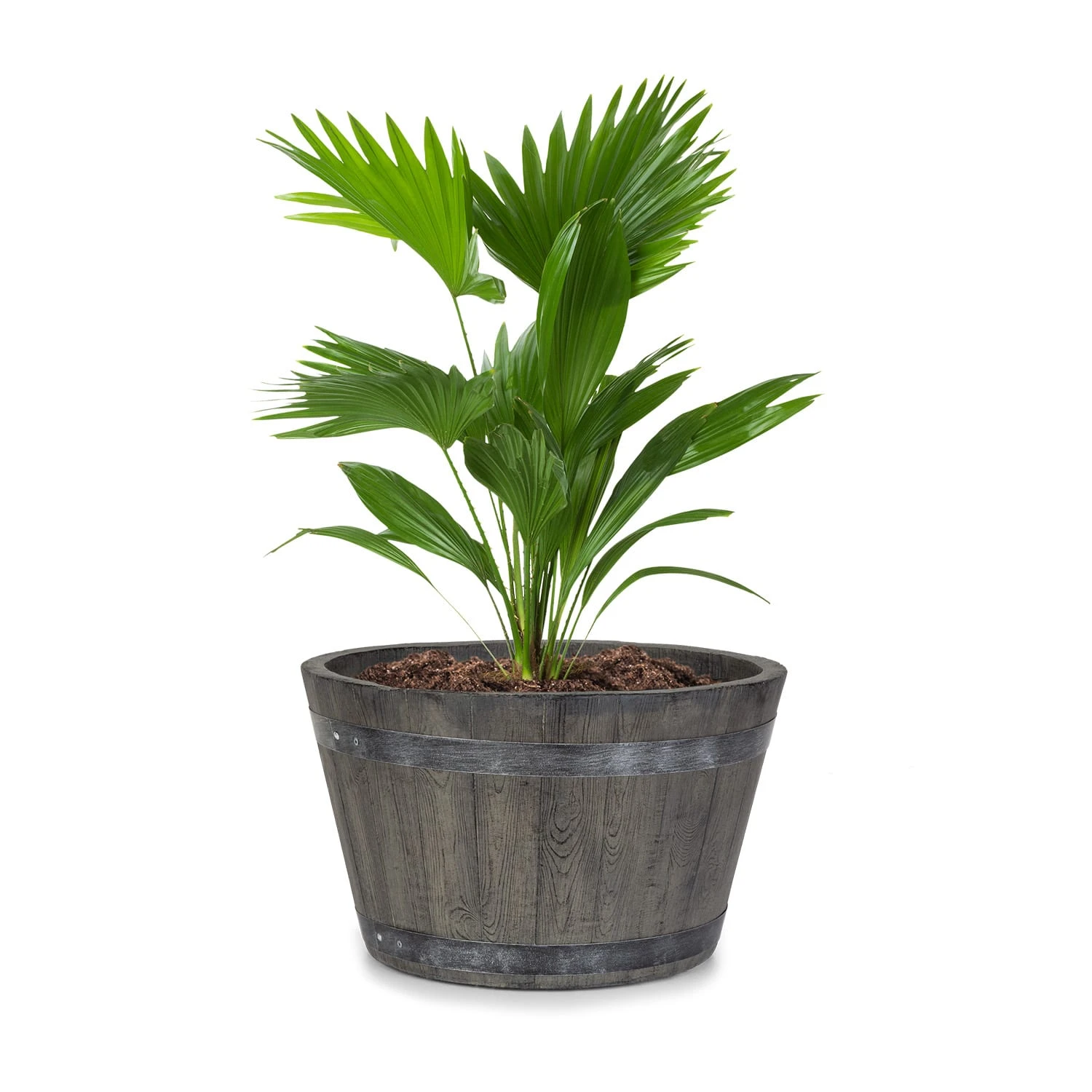 Winegrow Pflanzgefäß 52,5 X 31,5 Cm (ØxH) Leicht Fibreclay Grau 3 Winegrow Pflanzgefäß 52,5 X 31,5 Cm (ØxH) Leicht Fibreclay Grau