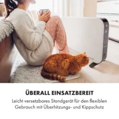 Baltrum Elektroheizung Konvektor 2000 W Standgerät -Einrichtungsgeschäft 10035033 de 0006 logo