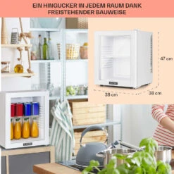 Brooklyn 24 Mini-Kühlschrank Glastür LED Ablage -Einrichtungsgeschäft 10035223 DE 0006 usp