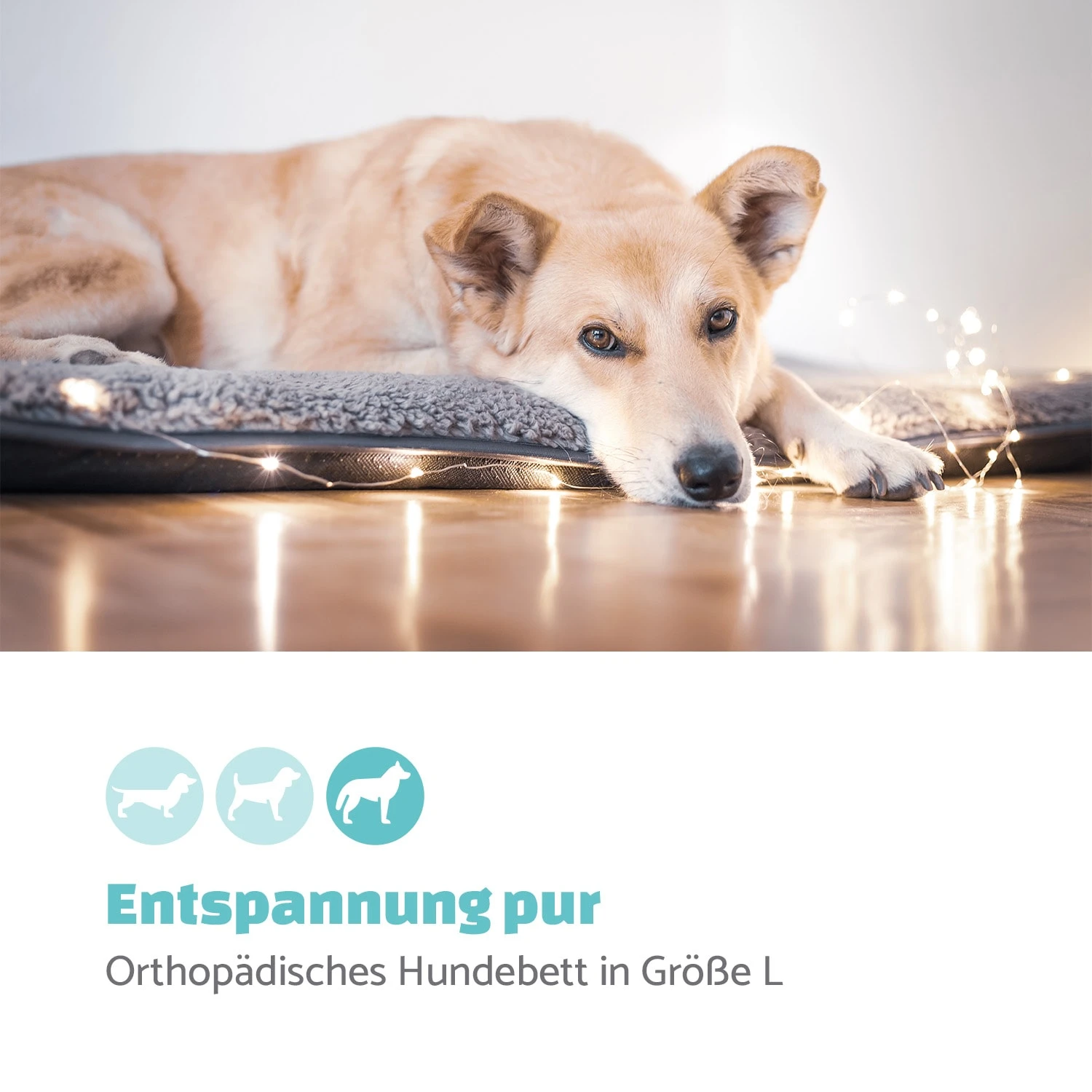 Finn Hundebett Waschbar Rutschfest Atmungsaktiv PE / Vlies Größe L 4 Finn Hundebett Waschbar Rutschfest Atmungsaktiv PE / Vlies Größe L – Bild 2