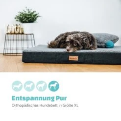Balu Hundebett Waschbar Orthopädisch Rutschfest Memory-Schaum Größe XL 10 Balu Hundebett Waschbar Orthopädisch Rutschfest Memory-Schaum Größe XL -Einrichtungsgeschäft 10037552 de 0002 logo