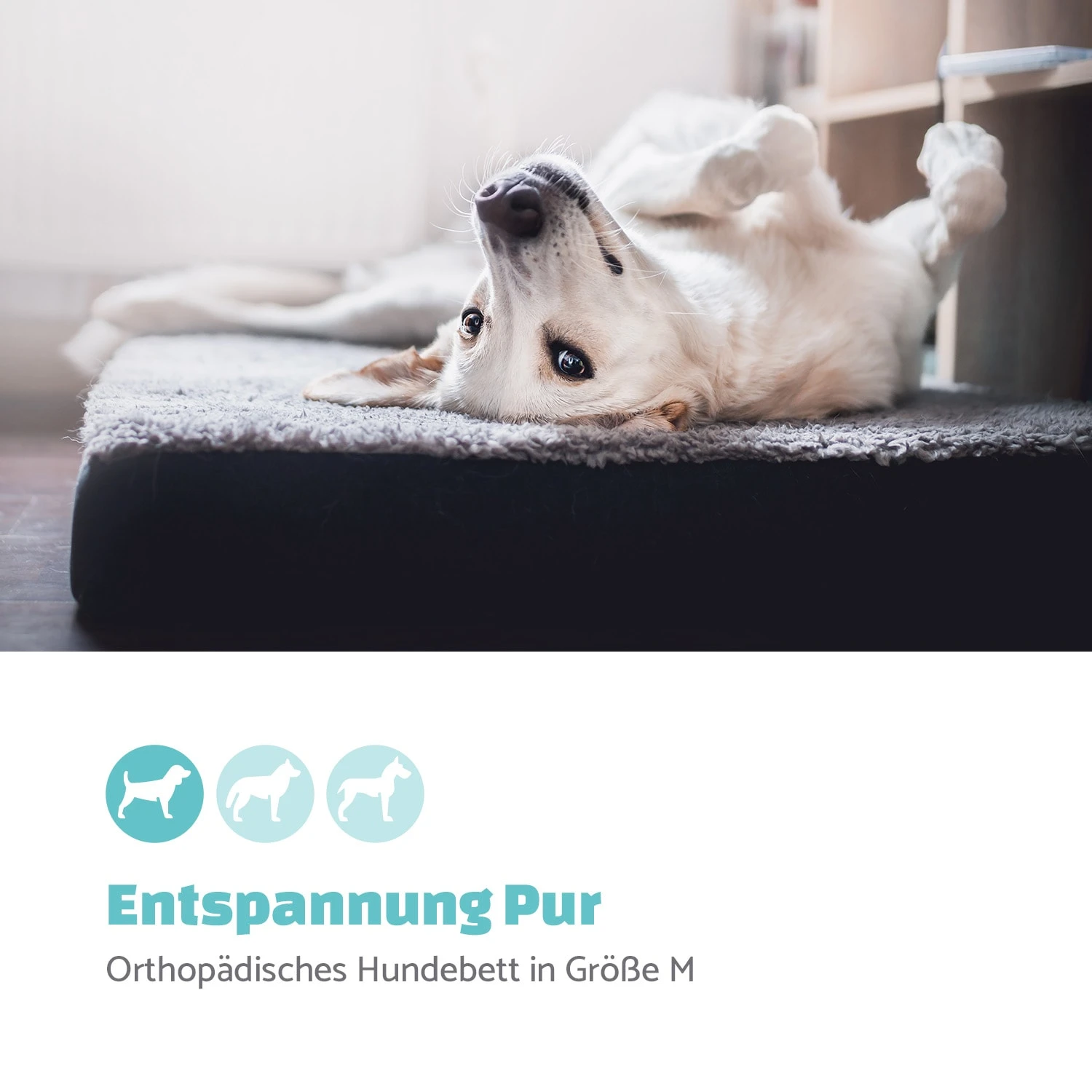 Hundebett Hundematte | Waschbar | Orthopädisch | Rutschfest | Atmungsaktiv | Klappbar Memory-Schaum | Größe M (80 X 8 X 55 Cm) 4 Hundebett Hundematte | Waschbar | Orthopädisch | Rutschfest | Atmungsaktiv | Klappbar Memory-Schaum | Größe M (80 X 8 X 55 Cm) – Bild 2