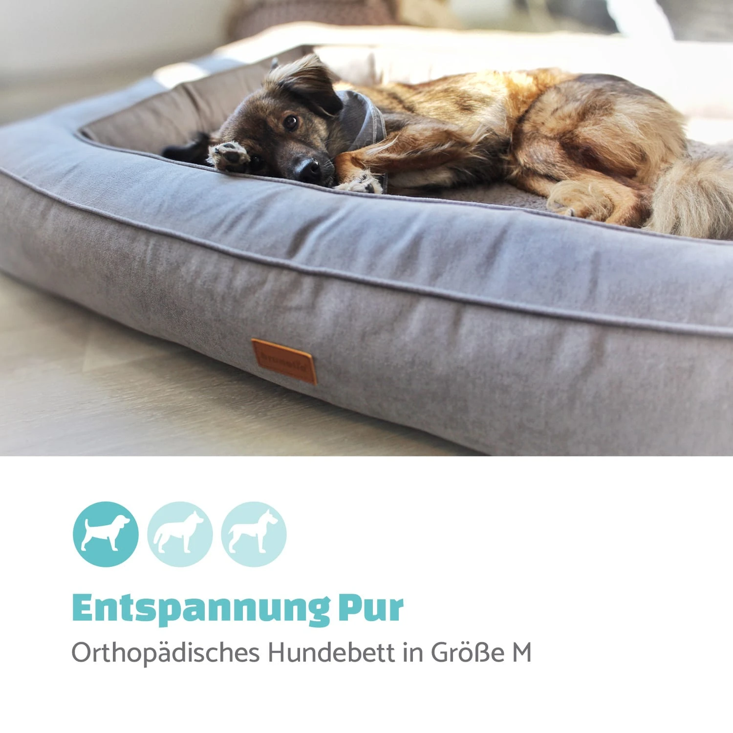 Bruno Hundebett Waschbar Orthopädisch Rutschfest Memory-Schaum Größe M 4 Bruno Hundebett Waschbar Orthopädisch Rutschfest Memory-Schaum Größe M – Bild 2