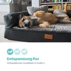 Odin Hundesofa Hundematte | Waschbar | Orthopädisch | Rutschfest | Atmungsaktiv | Memory-Schaum | Größe S (80 X 10 X 60 Cm) 10 Odin Hundesofa Hundematte | Waschbar | Orthopädisch | Rutschfest | Atmungsaktiv | Memory-Schaum | Größe S (80 X 10 X 60 Cm) -Einrichtungsgeschäft 10037601 de 0002 logo