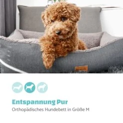 Emma Hundebett Hundekorb | Waschbar | Rutschfest | Atmungsaktiv | Wendematratze | Kissen | Größe M (80 X 20 X 70 Cm) -Einrichtungsgeschäft 10037611 de 0002 logo