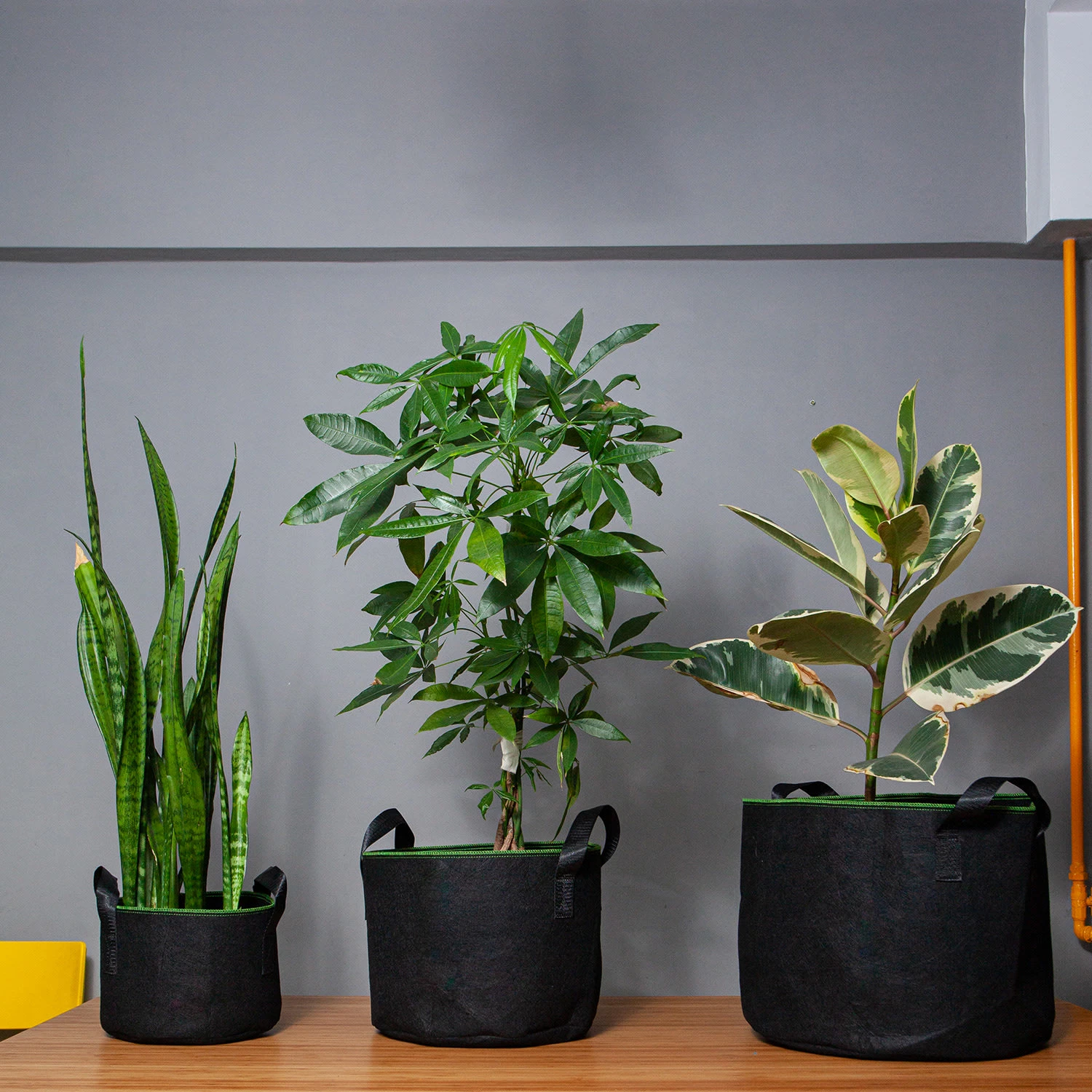 Pflanzsack Set 5 Stück 60 Liter Vlies Mit Henkeln 4 Pflanzsack Set 5 Stück 60 Liter Vlies Mit Henkeln – Bild 2