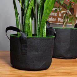 Pflanzsack Set 5 Stück 60 Liter Vlies Mit Henkeln 10 Pflanzsack Set 5 Stück 60 Liter Vlies Mit Henkeln -Einrichtungsgeschäft 10038009 yy 0004 logo