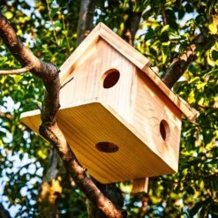 Eichhörnchenkobel Futterhaus Überwinterung 4 Zugänge Pinienholz Unbehandelt Handgefertigt -Einrichtungsgeschäft 10038066 yy 0005 logo