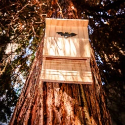 Fledermaushaus Nistkasten Überwinterungshilfe Ganzjährig Kiefer 14 Fledermaushaus Nistkasten Überwinterungshilfe Ganzjährig Kiefer -Einrichtungsgeschäft 10038132 yy 0005 logo