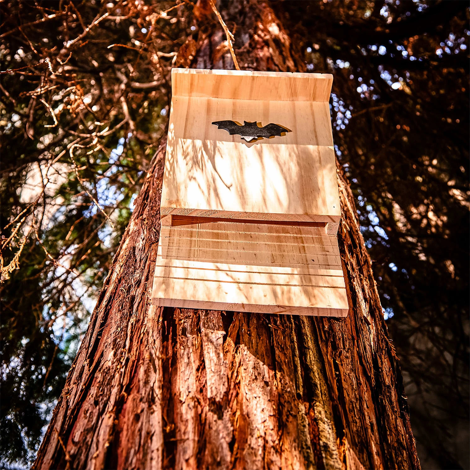 Fledermaushaus Nistkasten Überwinterungshilfe Ganzjährig Kiefer 7 Fledermaushaus Nistkasten Überwinterungshilfe Ganzjährig Kiefer – Bild 5