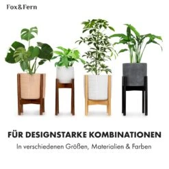 Deventer Pflanzenhalter Für Töpfe Von 20,3-30,5 Cm Ø 2 Höhen -Einrichtungsgeschäft 10038447 de 0007 usp