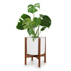 Deventer Pflanzenhalter Für Töpfe Von 20,3-30,5 Cm Ø 2 Höhen