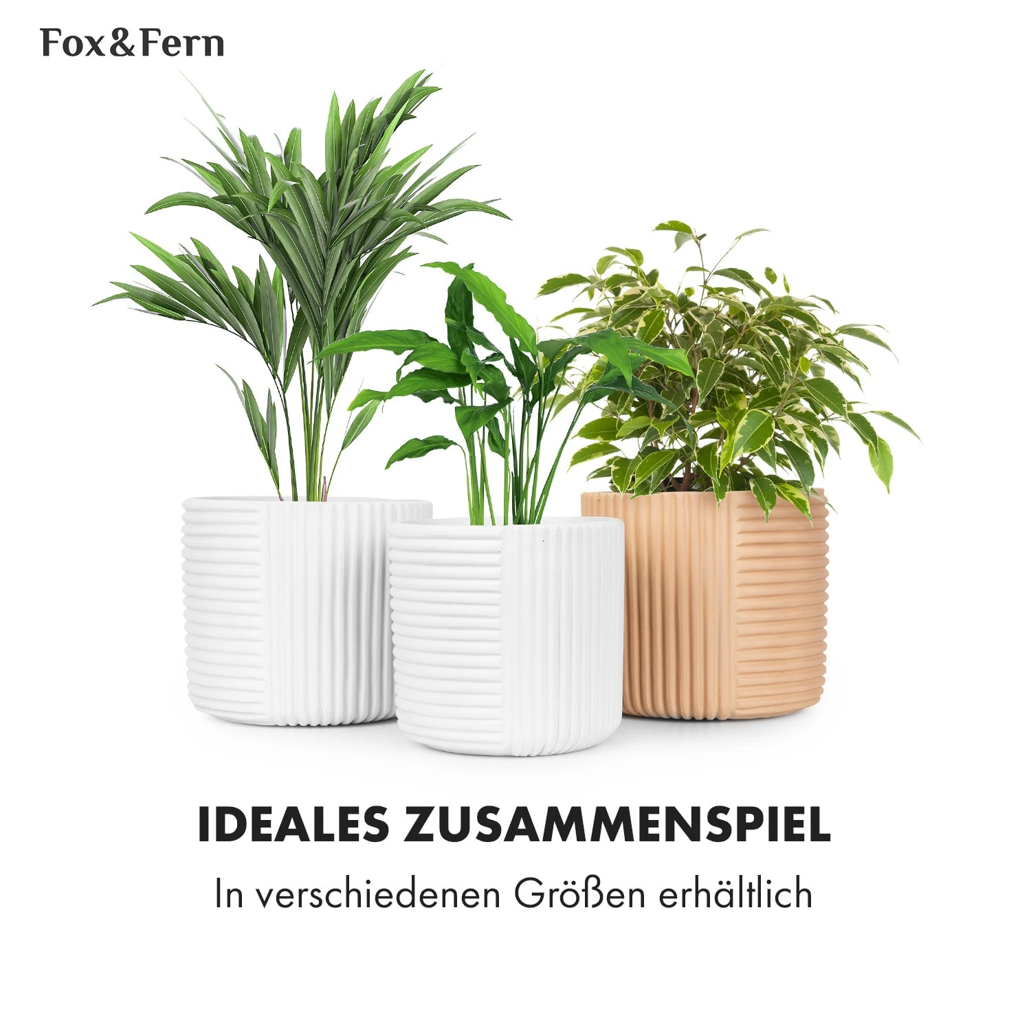 Hasselt Blumentopf Polystone Pflanzenfreundlich Handgemacht 3D-Optik 8 Hasselt Blumentopf Polystone Pflanzenfreundlich Handgemacht 3D-Optik – Bild 6