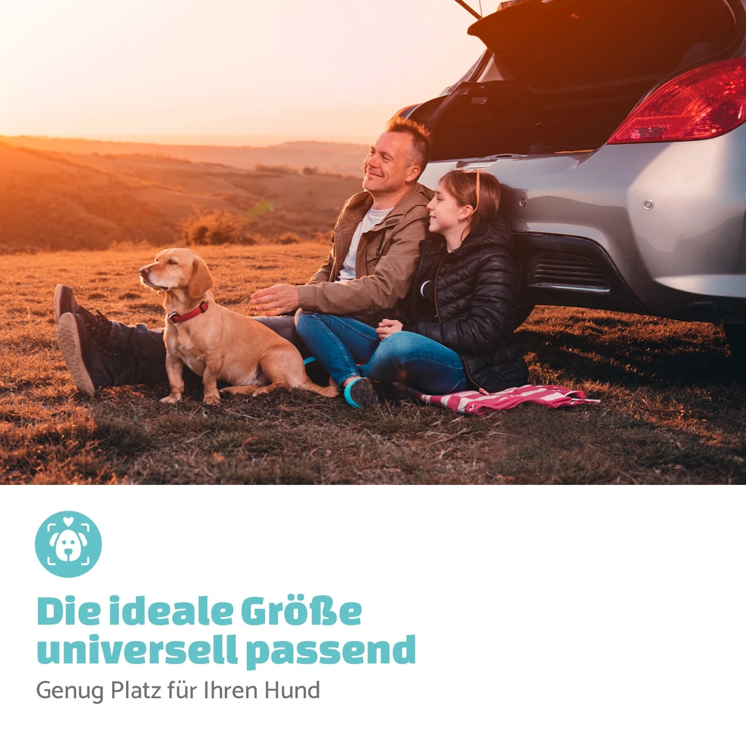 Rocky Hundeautositz Polyester Anschnallgurt Faltbar Flexibel 8 Rocky Hundeautositz Polyester Anschnallgurt Faltbar Flexibel – Bild 6