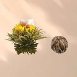 Feelino 6er Teeblume Mix Schwarz -Einrichtungsgeschäft 10040408 yy 0007 logo