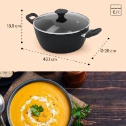 Noto Endurance Kochtopf Ø28cm Geschmiedetes Aluminium Deckel Induktion PTFE-Antihaftbeschichtung 19 Noto Endurance Kochtopf Ø28cm Geschmiedetes Aluminium Deckel Induktion PTFE-Antihaftbeschichtung -Einrichtungsgeschäft 10045008 yy 0009 dimensions
